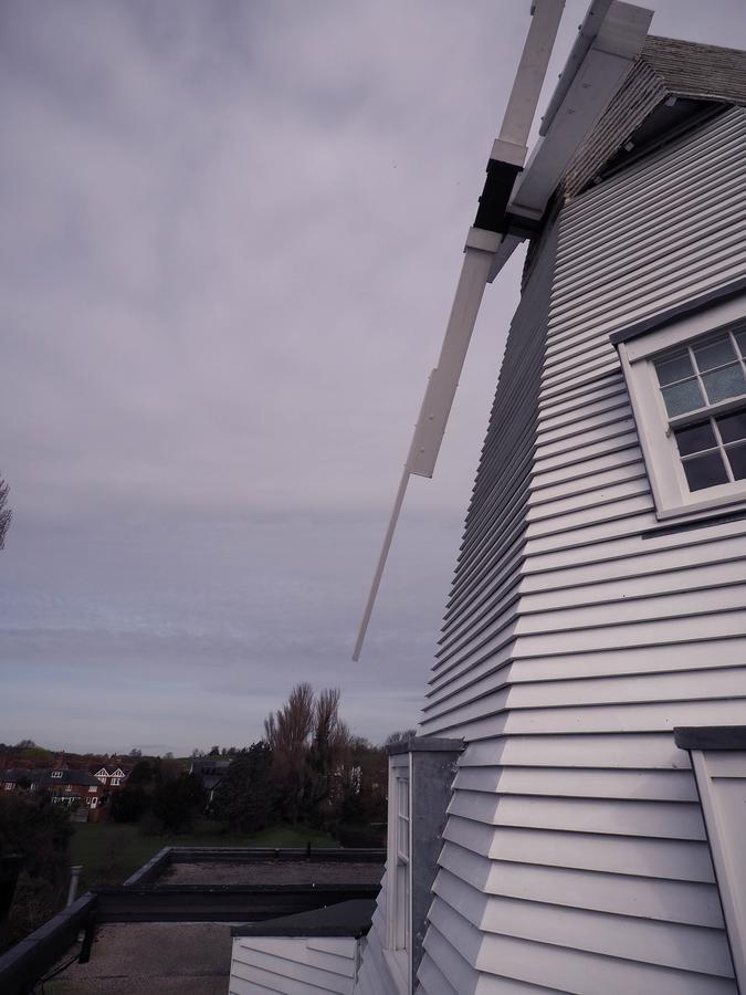 Rye Windmill B&B المظهر الخارجي الصورة